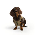 Cloud7 V-2 Westengeschirr AKTIV Cordura, Khaki/Peach Hundegeschirr