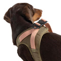 Cloud7 V-2 Westengeschirr AKTIV Cordura, Khaki/Peach Hundegeschirr
