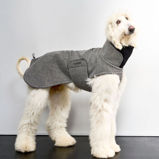 Cloud7 Windhundmantel Brooklyn Long, Tweed Black Hundewintermantel