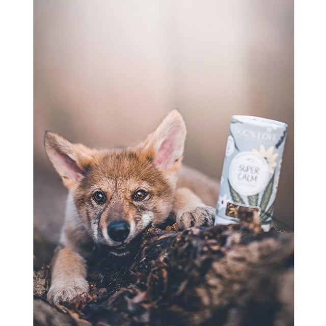 Dog's Love Kräutermischung SUPER CALM, 70g Nahrungsergänzungsmittel für Hunde
