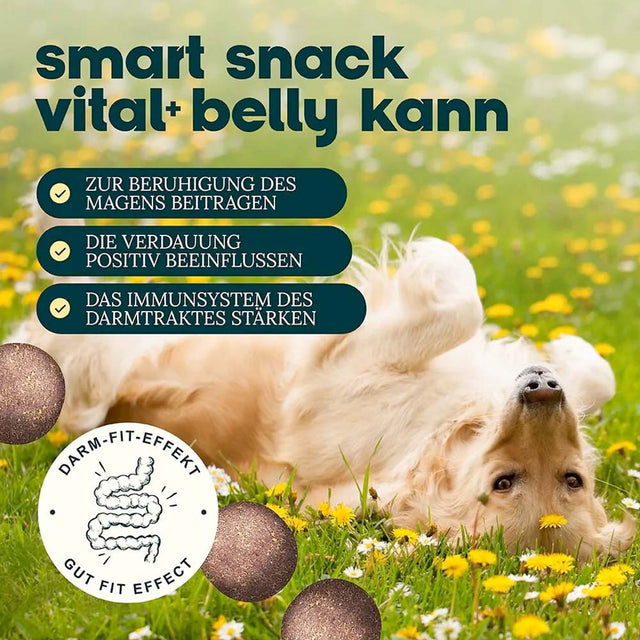 Dog's Love Hundeleckerli Smart Snacks VITAL+ BELLY, 150g Funktionssnack