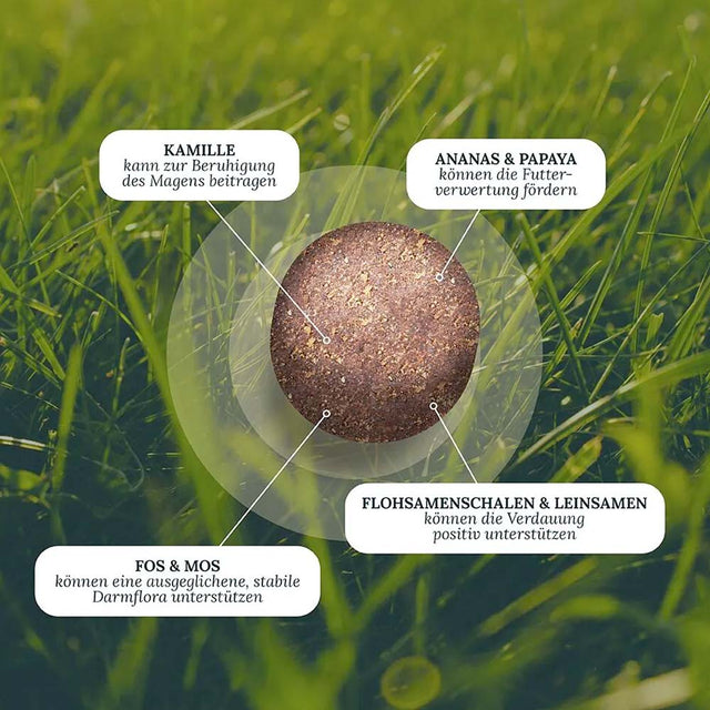 Dog's Love Hundeleckerli Smart Snacks VITAL+ BELLY, 150g Funktionssnack