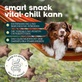 Dog's Love Hundeleckerli Smart Snacks VITAL+ CHILL, 150g Funktionssnack