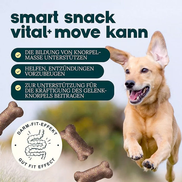 Dog's Love Hundeleckerli Smart Snacks VITAL+ MOVE, 150g Funktionssnack