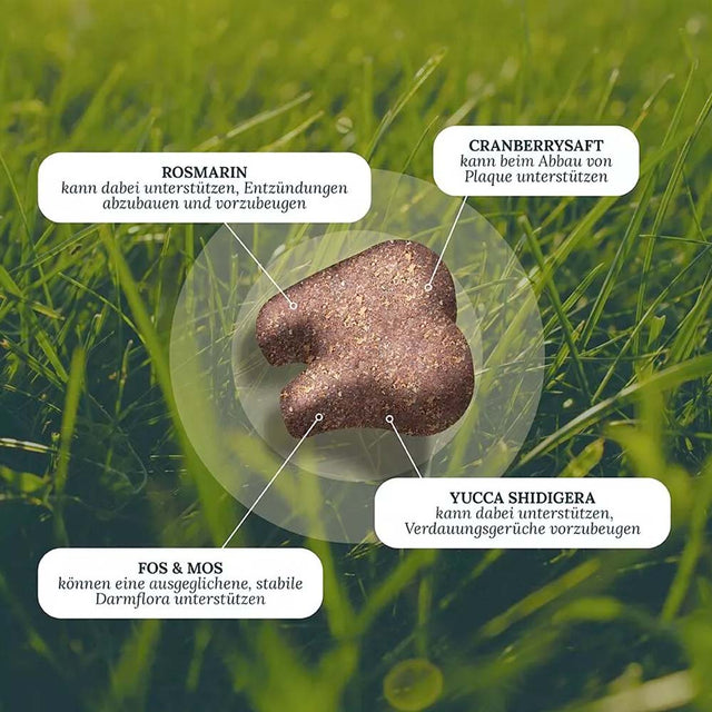 Dog's Love Hundeleckerli Smart Snacks, VITAL+ SMILE, 150g Funktionssnack