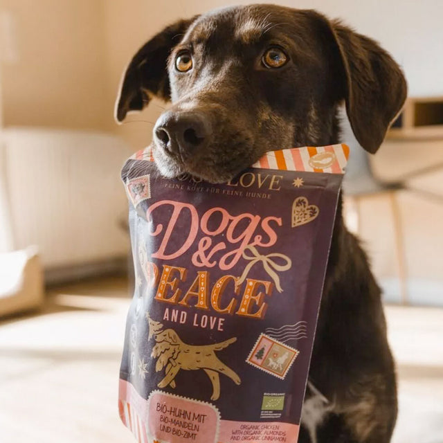 Winter-Chips Biohuhn mit Bio-Mandeln und Bio-Zimt