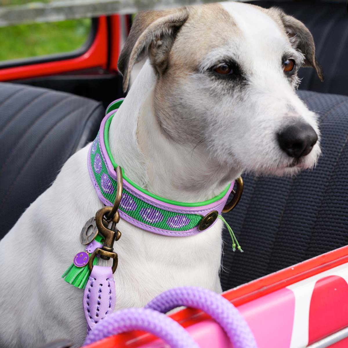 Didog Personalisiertes Hundehalsband & Leine – Gepolstertes Leder In Violett, Größe XL