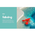 Fabdog Floatie Lobster Wasserspielzeug