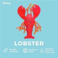Fabdog Floatie Lobster Wasserspielzeug