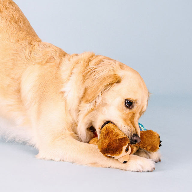 Fringe Studio Hundespielzeug Makin' Waves Stoffspielzeug