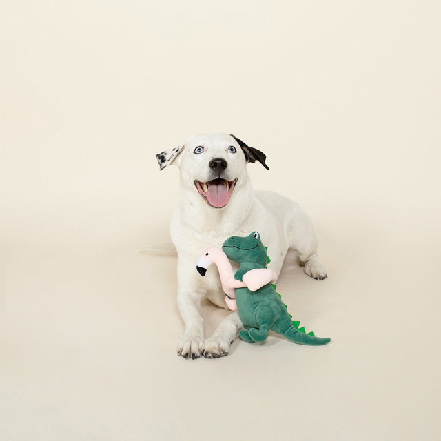 Fringe Studio Hundespielzeug Pool Time Rex Stoffspielzeug