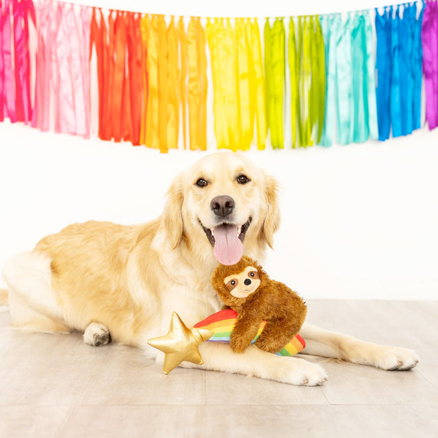Fringe Studio Hundespielzeug Rainbow High Stoffspielzeug