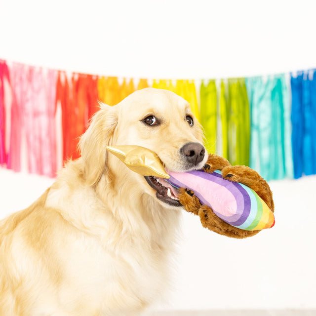 Fringe Studio Hundespielzeug Rainbow High Stoffspielzeug