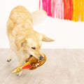 Fringe Studio Hundespielzeug Rainbow High Stoffspielzeug