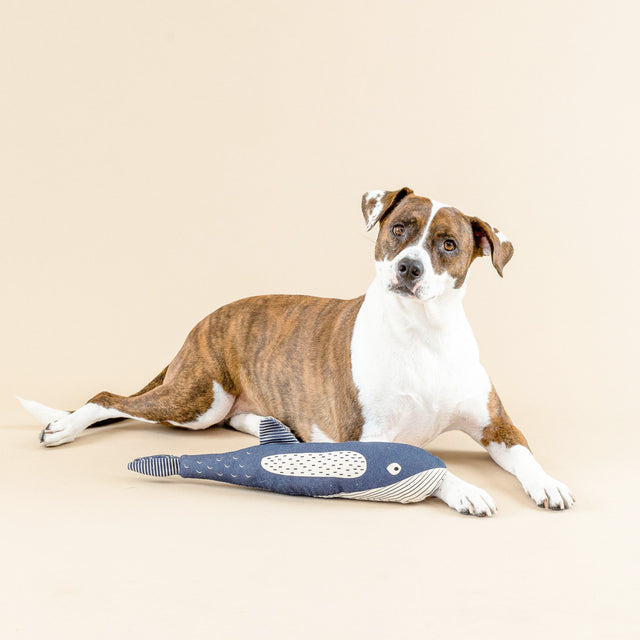 Fringe Studio Hundespielzeug There She Blows Stoffspielzeug