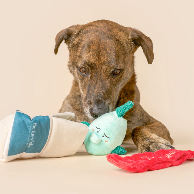 The FurryFolks Hundespielzeug, Fish Express Interaktiv