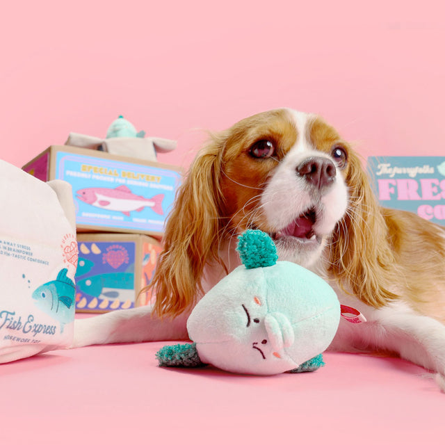 The FurryFolks Hundespielzeug, Fish Express Interaktiv