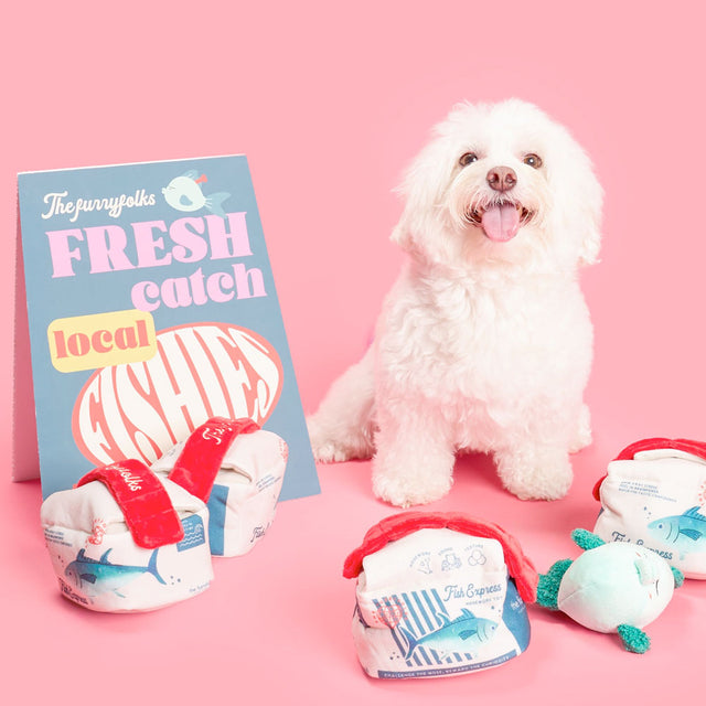 The FurryFolks Hundespielzeug, Fish Express Interaktiv