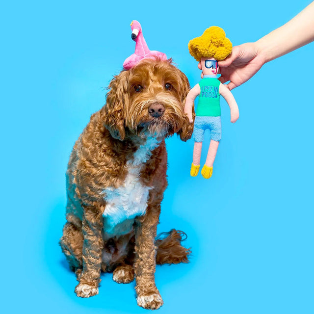 The FurryFolks Hundespielzeug, Flamingo Hooman Interaktiv