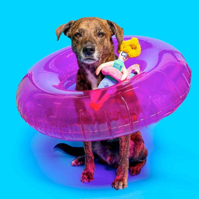 The FurryFolks Hundespielzeug, Flamingo Hooman Interaktiv