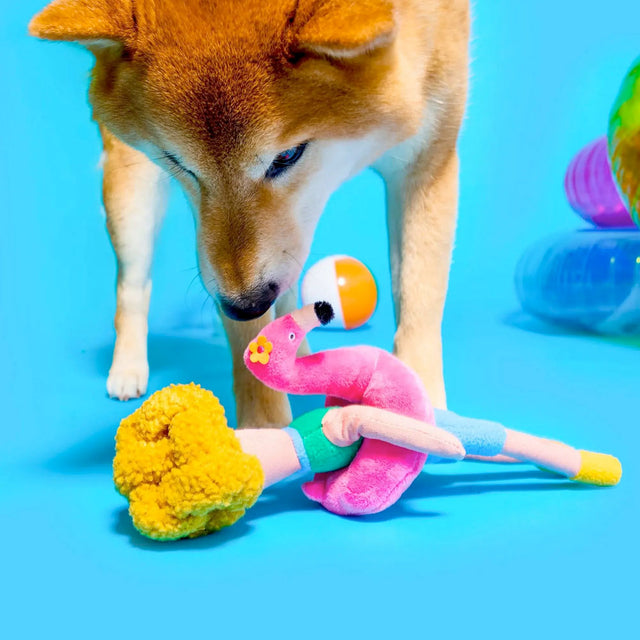 The FurryFolks Hundespielzeug, Flamingo Hooman Interaktiv