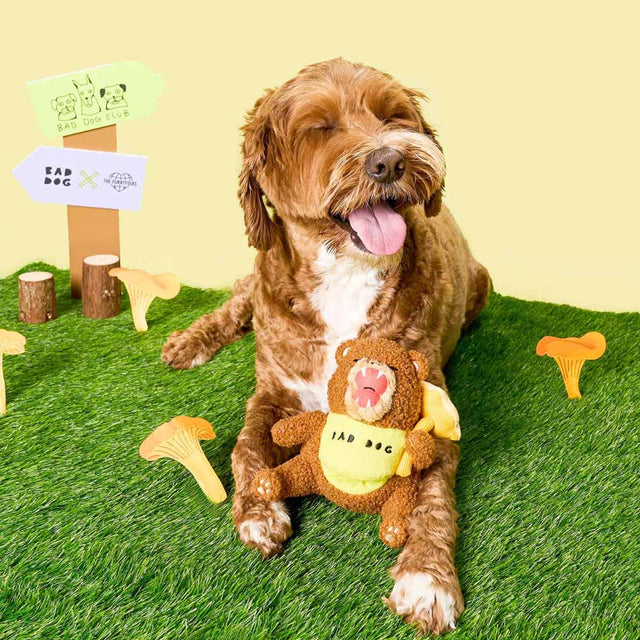 The FurryFolks Hundespielzeug, Happy Bear Tofino Interaktiv