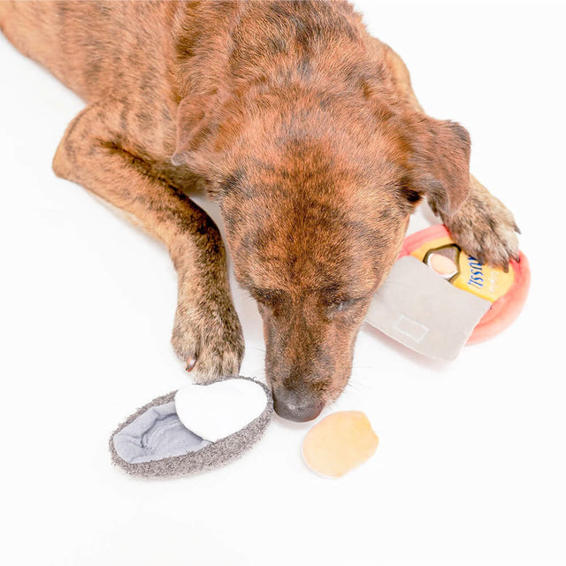 The FurryFolks Hundespielzeug, Tinned Mussel Interaktiv