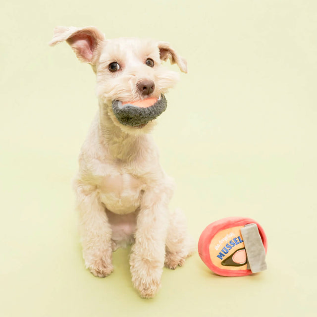 The FurryFolks Hundespielzeug, Tinned Mussel Interaktiv