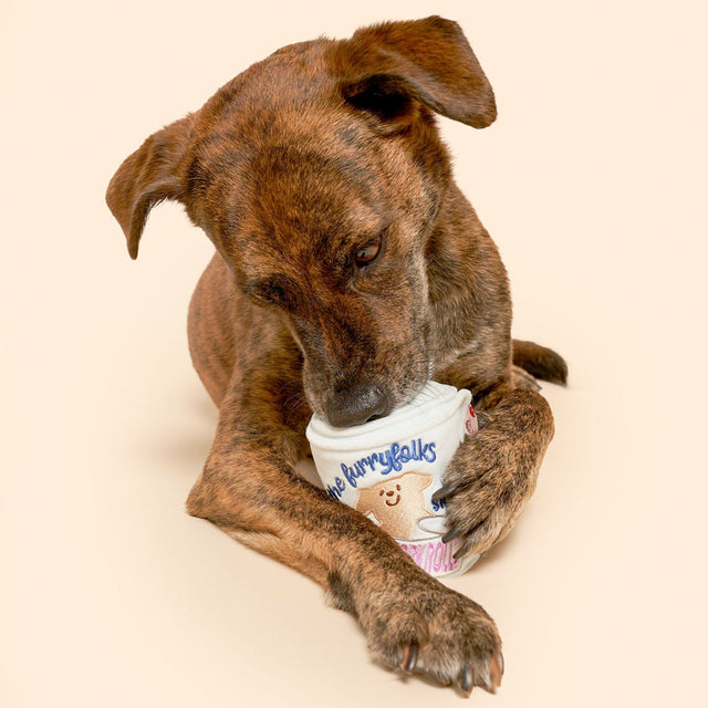 The FurryFolks Hundespielzeug, Toilet Paper Interaktiv