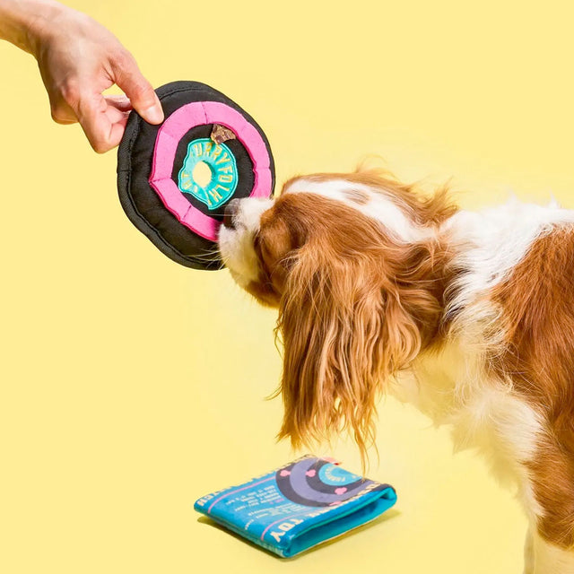 The FurryFolks Hundespielzeug, Vinyl Interaktiv