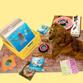 The FurryFolks Hundespielzeug, Vinyl Interaktiv