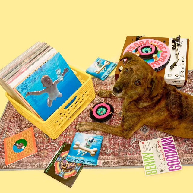 The FurryFolks Hundespielzeug, Vinyl Interaktiv
