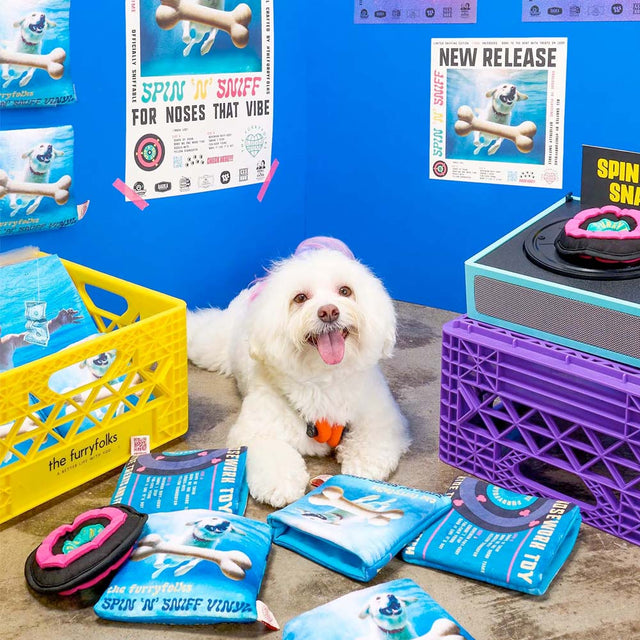 The FurryFolks Hundespielzeug, Vinyl Interaktiv