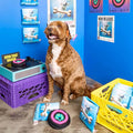 The FurryFolks Hundespielzeug, Vinyl Interaktiv