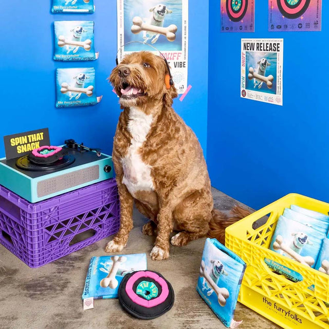 The FurryFolks Hundespielzeug, Vinyl Interaktiv