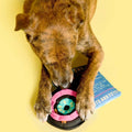 The FurryFolks Hundespielzeug, Vinyl Interaktiv
