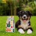 Garden Bites Fruity Friends Puppy, Small 14 Stück Zahnpflege