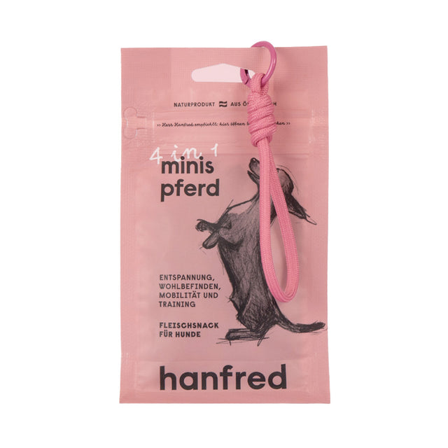 Hanfred 4in1 Minis Pferd – Fashionable Edition Funktionssnack