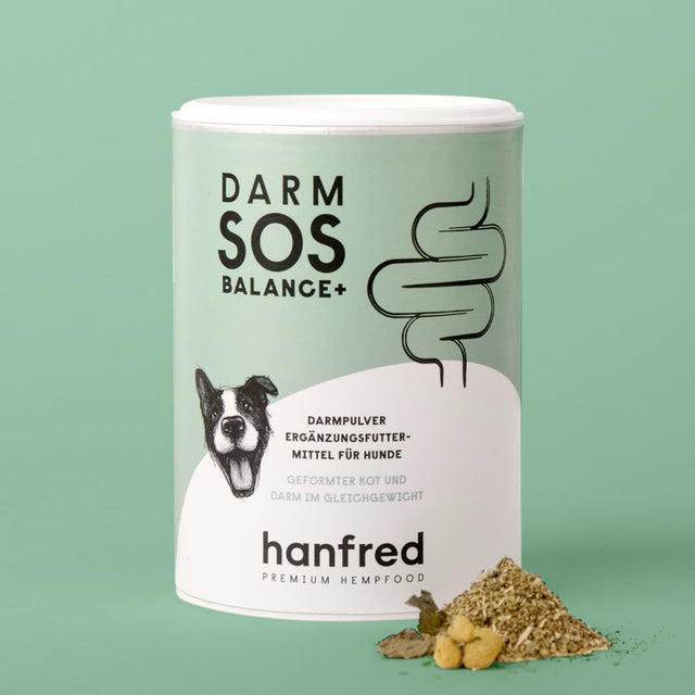 Hanfred Darm SOS Balance+ Pulver, 65g Nahrungsergänzungsmittel für Hunde