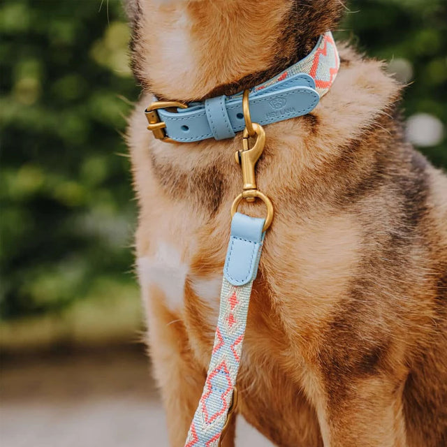 Hey Lana Hundehalsband Gepolstert – Coral/Blau Hundeleine