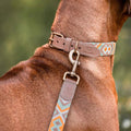 Hey Lana Hundeführleine, 3-fach verstellbar, 2m – Mint/Orange Hundeleine