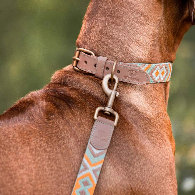 Hey Lana Hundeführleine, 3-fach verstellbar, 2m – Mint/Orange Hundeleine