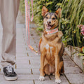 Hey Lana Hundehalsband Gepolstert – Pink/Beige Hundehalsband