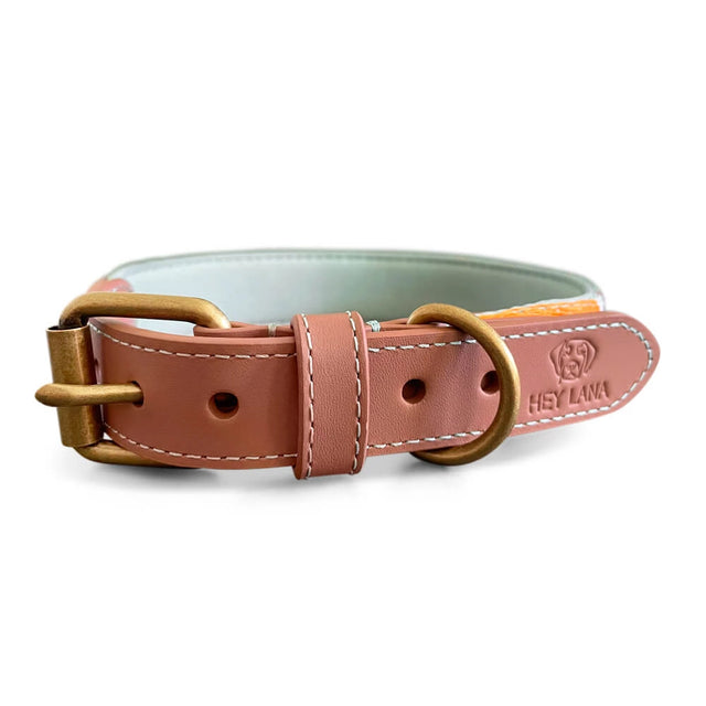 Hey Lana Hundehalsband Gepolstert – Mint/Orange Hundehalsband