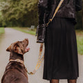 Hey Lana Hundehalsband Gepolstert – Mint/Orange Hundehalsband