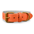 Hey Lana Hundehalsband Gepolstert – Sunset/Eukalyptus Hundehalsband