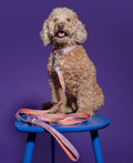 HOT DOGGIES Hundeleine Hands-Free, Lily Coral Hundeleine