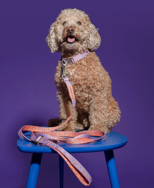 HOT DOGGIES Hundeleine Hands-Free, Lily Coral Hundeleine