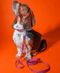 HOT DOGGIES Hundeleine Hands-Free, Poppy Sunrise Hundeleine