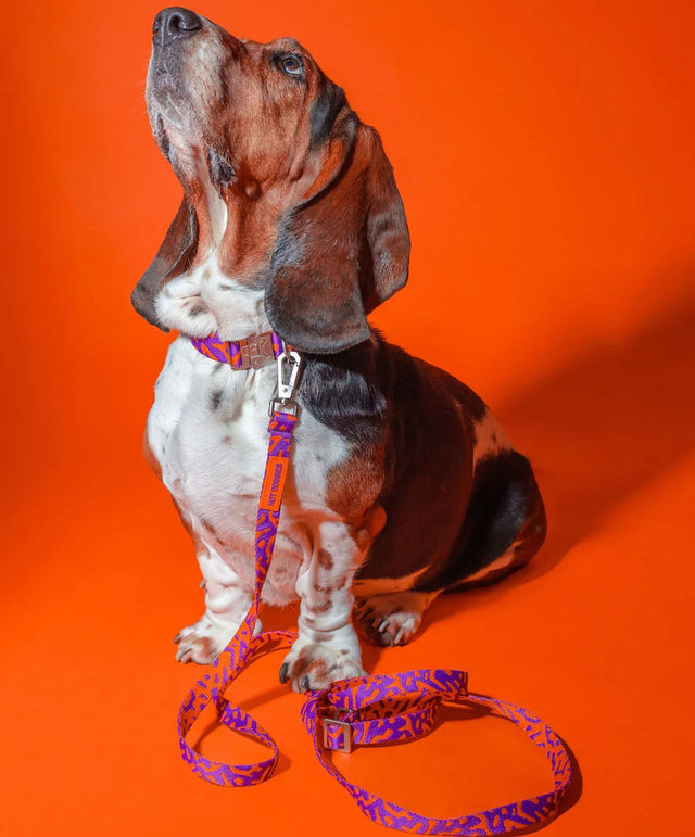 HOT DOGGIES Hundeleine Hands-Free, Poppy Sunrise Hundeleine